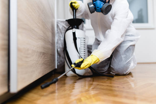 Best Mosquito Control Services  in Richnd, MO