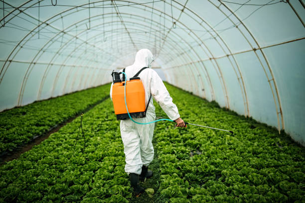Professional Pest Control in Richmond, MO