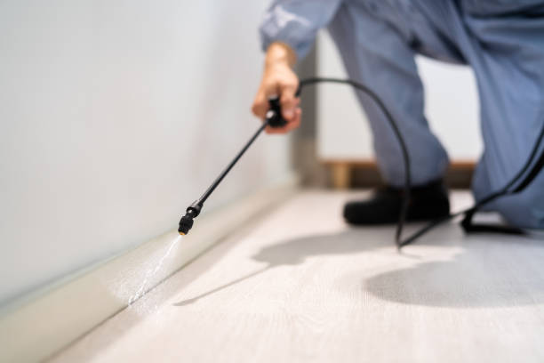 Pest Control for Restaurants in Richmond, MO