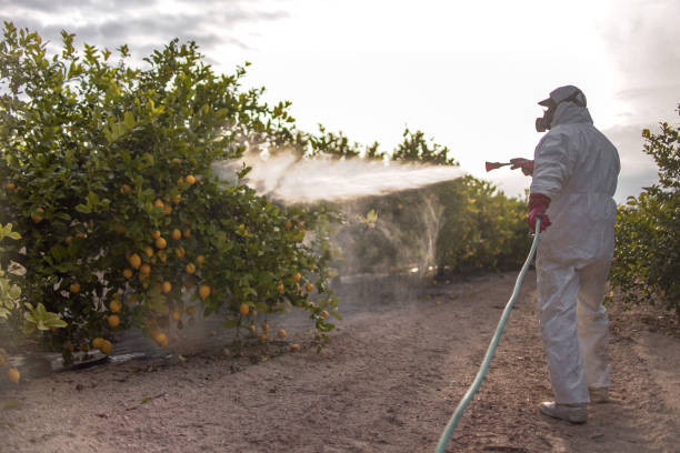 Best Pest Control Near Me  in Richnd, MO