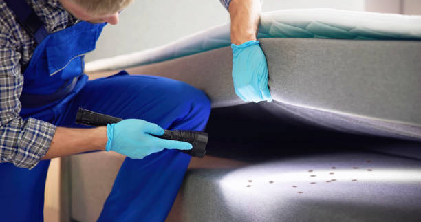 Best Termite Control Services  in Richnd, MO