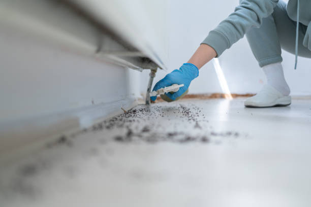 Best Cockroach Control Services  in Richnd, MO